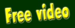 free voyeur video