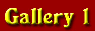 free gallery