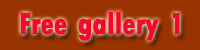 free pica gallery 1