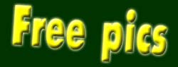 free voyeur pictures